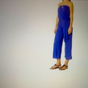 Becca-Blue Full-length Jumpsuit_Small